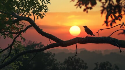 Wall Mural - Silhouette of a bird on a branch at sunset