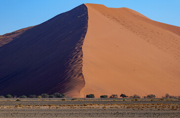 Wall Mural - Dune 45 in the Namib Desert, Namibia, Africa	