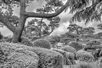 Canvas Print - On-Shi Hakone Park, garden and plants. Japan