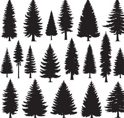 Wall Mural - Pine tree silhouettes. Evergreen forest firs and spruces black shapes, wild nature trees templates. Vector illustration of woodland trees set on a white background design.