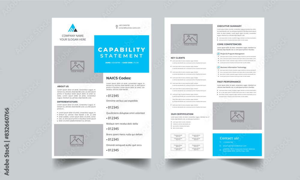Capability Statement Template Design. Stock Vector | Adobe Stock