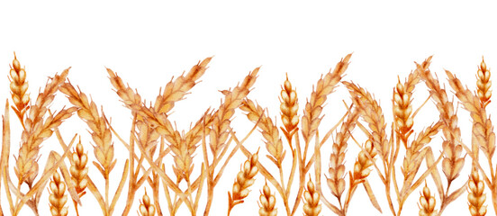 Watercolor ears of wheat horizontal border seamless pattern.