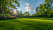 © john - a beautiful garden lawn with a large beautiful blue sky in the background