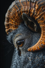 Poster - Detailed image of a birthmark that forms a spiral, with a focus on the smooth transition of color,