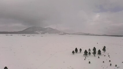 Wall Mural - Flying over a snow-covered field with snow capped mountains in the distance over northern Arizona