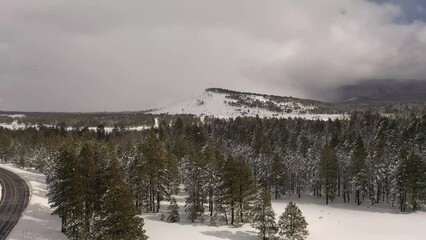 Wall Mural - Flying over a wilderness covered in snow with pine trees and mountains.  A winter wonderland.