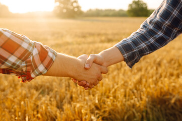 Wall Mural - Handshake two farmer on the background of a wheat field at sunset. The concept of the agricultural business.