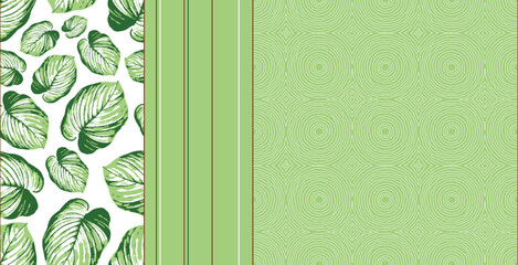 Wall Mural - Beautiful nature organic seamless pattern with leaves lines and circle waves