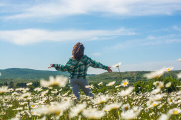 Sticker - Girl in a chamomile field