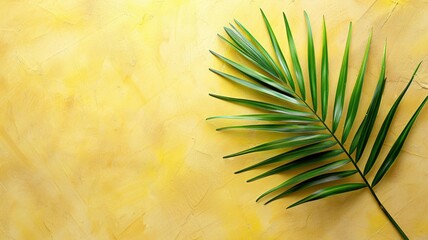 Wall Mural - Green palm leaf on yellow, textured background