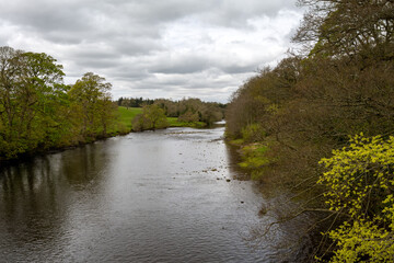 Wall Mural - View of the river Tees on a cloudy spring day, County Durham, England