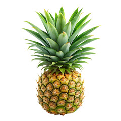 Poster - pineapple png