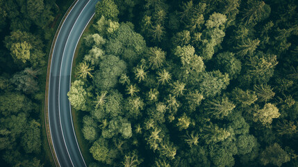 Wall Mural - aerial view of a beautiful modern road in a forest landscape wallpaper background 