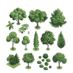 variety of isometric plant illustrations for landscape design, featuring trees and bushes in a block