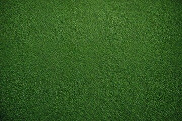 Wall Mural - green grass texture