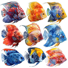 Wall Mural - collection of ornamental marine fish illustrations, generative ai