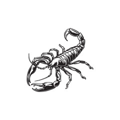 Sticker - Black and white scorpio vintage ink drawing vector illustration for t-shirt design