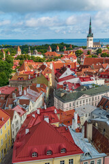 Wall Mural - Old town of Tallinn in Estonia