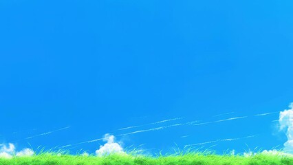 Wall Mural - grass slow windy noise on blue sky loop. scenery of meadow grass and windy slow on blue background.