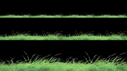 Wall Mural - grass wind noise loop and continue copy place on alpha channel. element footage place on footage or 