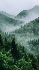 Canvas Print - Misty Mountain Forests Enshrouded in Ethereal Tranquility A Serene Landscape of Natural Beauty and Atmospheric Charm