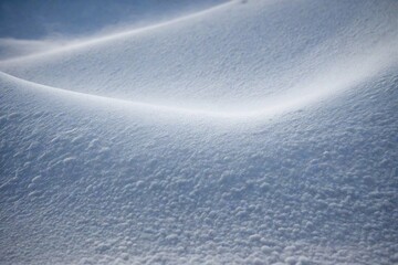 Wall Mural - snow on the window