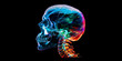 © Purple_Lamp - A skull with a colorful head is displayed on a black background