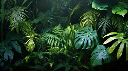 overgrown tropical green plants deep in the jungle