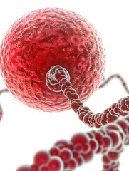 Poster - of red cell with dna strand in isolation on white background