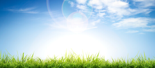 a bright fresh sunny spring, summer blue sky background with white fluffy clouds and lush green gras