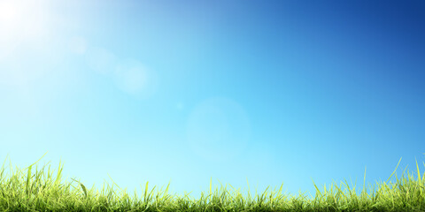 Wall Mural - a bright fresh sunny spring, summer blue sky background with a lush green grass in the foreground.
