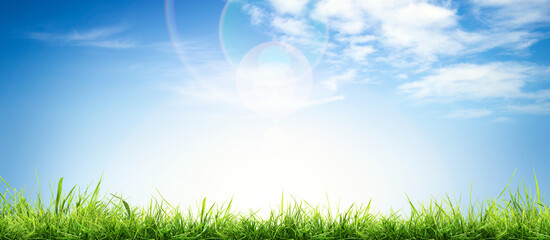Wall Mural - a bright fresh sunny spring, summer blue sky background with white fluffy clouds and lush green gras