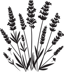 Black silhouettes of grass, flowers, and herbs are isolated on a white background.