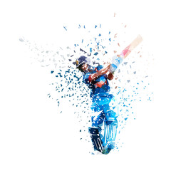 Poster - Cricket player batting, batsman, isolated geometric low poly vector illustration, distortion effect