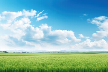 Wall Mural - PNG Farmland landscape nature backgrounds panoramic.