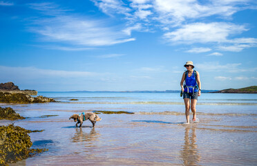 Wall Mural - A female hiker and their dog walking in the blue turquoise water of the sandy beach at Achnahaird Bay on a warm sunny summers day in the Scottish Highlands in the UK.