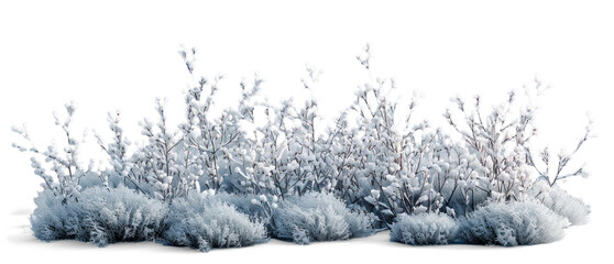 Snow-covered Bush on Transparent Background