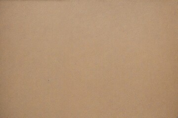 Canvas Print - cardboard texture background