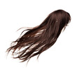 © Jade - Long straight Wig brunette hair style fly from strong wind. Brunette woman wig wave hair float in mid air. Straight brunette curl wig hair wind blow storm. White background isolated