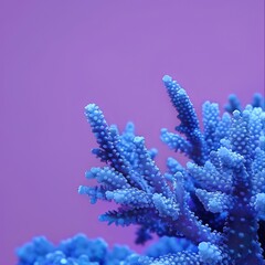 sea ​​and ocean corals.