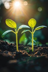 Sticker - Two small plants growing out of the soil, with green leaves and stems