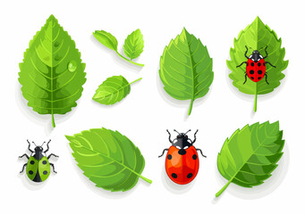 Wall Mural - a group of ladybugs sitting on top of green leaves