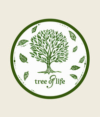 Wall Mural - a tree of life logo on a white background