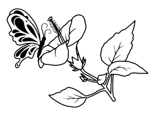 Wall Mural - Flower Line Art Butterfly Illustration
