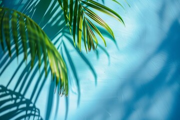 Wall Mural - A palm tree casts a shadow on a blue wall