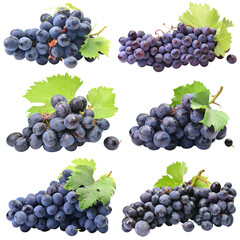 Poster - Collection of grapes isolated