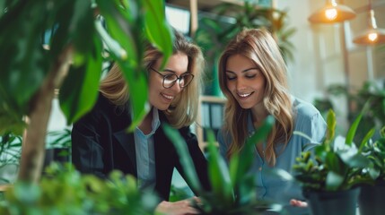 Wall Mural - The businesswomen discussing strategies