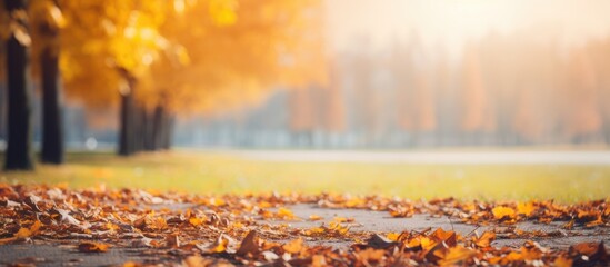 Poster - Fall background Season of the year Fallen dry yellow leaves lying on the grass Autumn park. Creative banner. Copyspace image