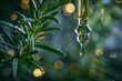 © Aliaksandra - a macro shot capturing droplets of rosemary oil falling from a glass dropper with a green background, illustrating natural aromatherapy
