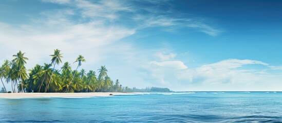 Poster - Beautiful tropical scenery in natural island environment of tall palm trees growing on the seashore next to the open sea. Creative banner. Copyspace image